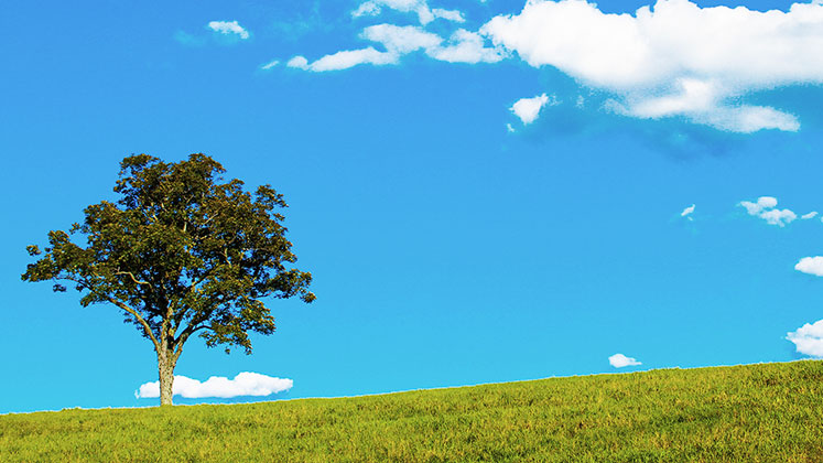 社会貢献への取り組み(SDGs)